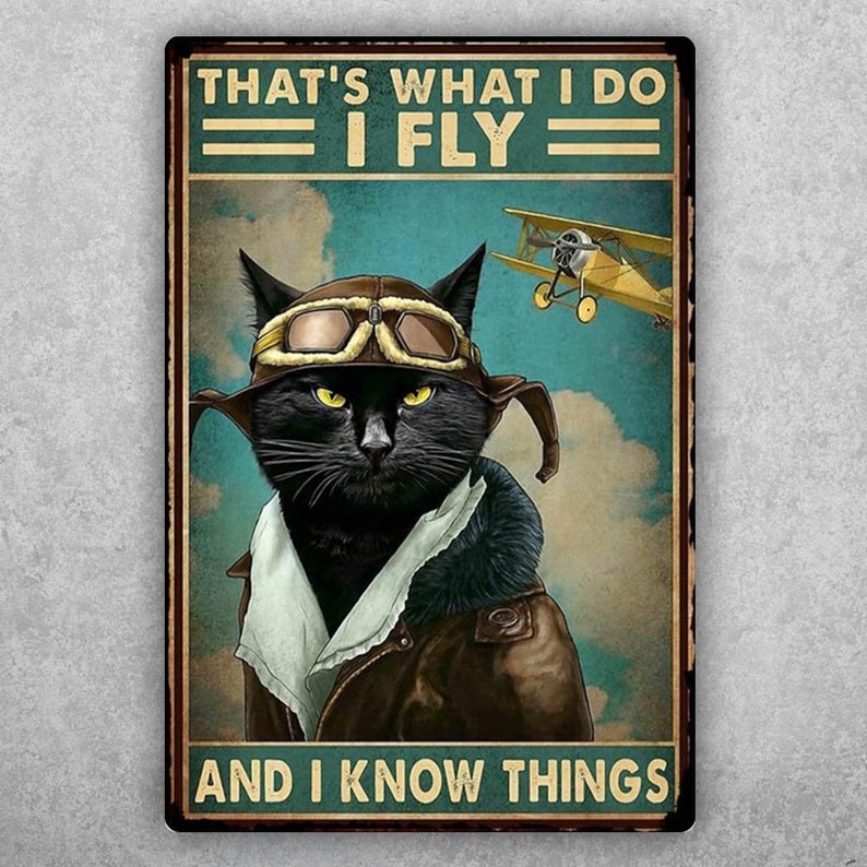 Your Den's Motto: I Fly & Know Things Vintage Tin Sign Plaque - Personalize Wall Art