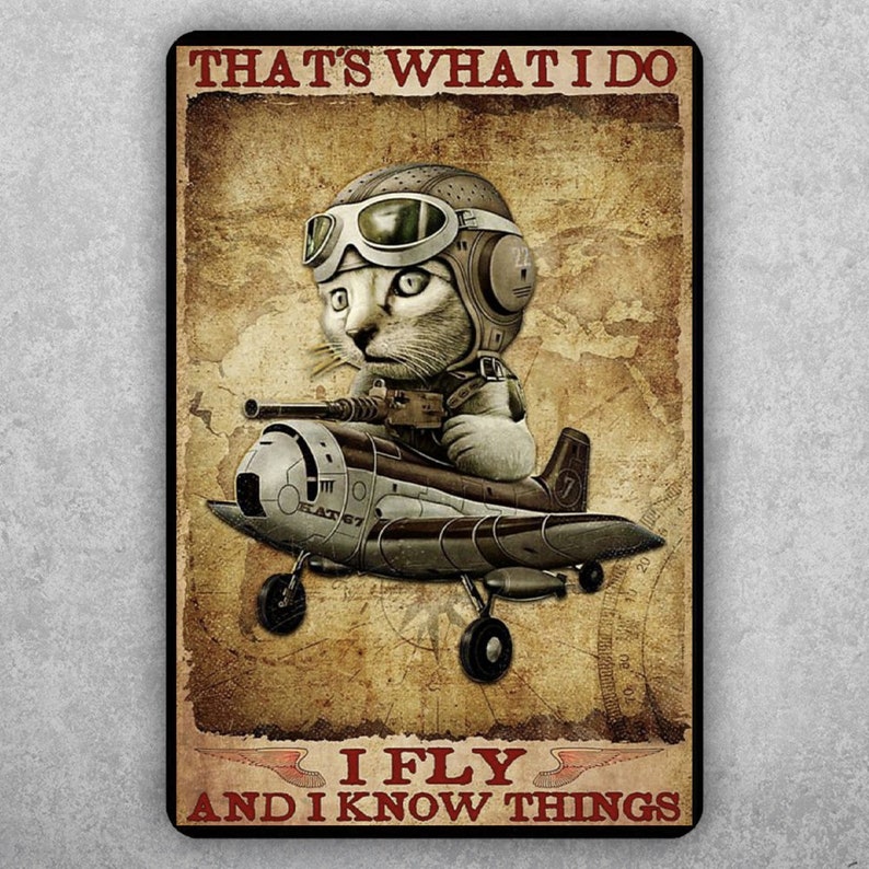 Pilot's Motto: I Fly And I Know Things Vintage Tin Sign - Personalize Wall Art