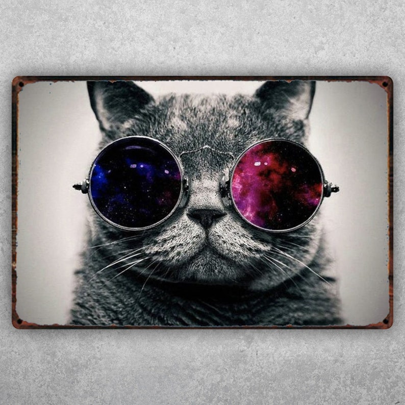 Funny Cool Cat Beer Bar Vintage Tin Sign | Valentine's Gift - Personalize Wall Art