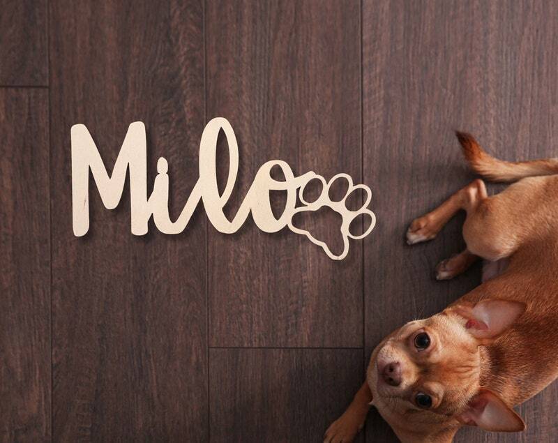 Paw-Print Perfection - Custom Pet Name Metal Sign Wall Art - Personalize Wall Art